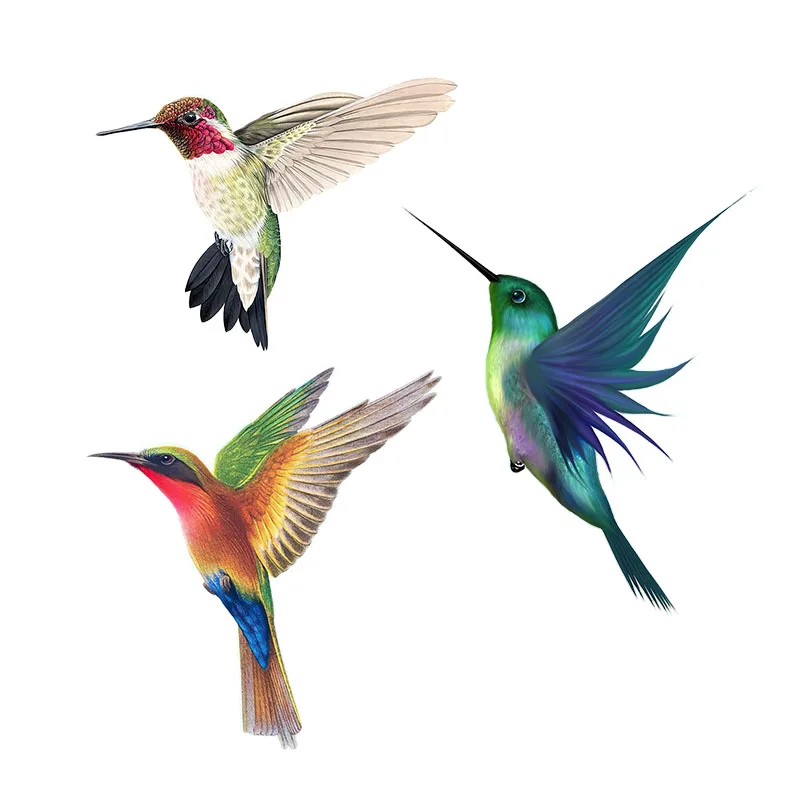 Outdoor Furniture Near Me - Beautiful Hummingbird Hand Painted Bird Sticker